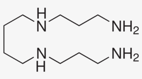 Structure, HD Png Download, Transparent PNG