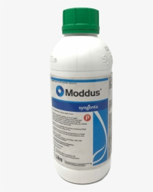 Moddus 1l   Title Moddus 1l - Bottle, HD Png Download, Transparent PNG