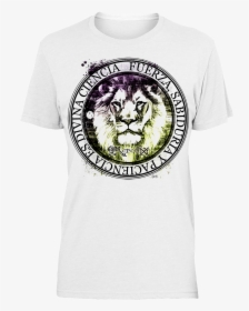 Tiger, HD Png Download, Transparent PNG