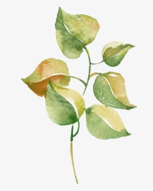 Watercolour Watercolor Pinterest - Watercolor, HD Png Download, Transparent PNG