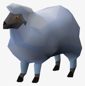 Sheep, HD Png Download, Transparent PNG