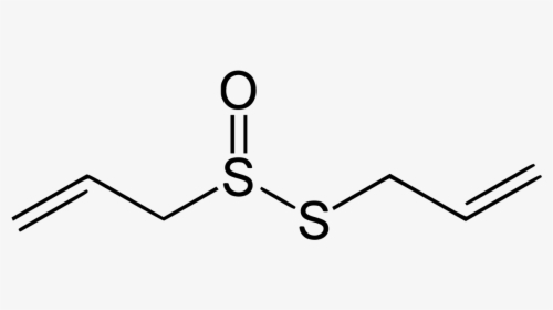 Allicin Png, Transparent Png, Transparent PNG