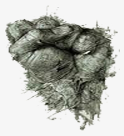 Herbicide Weed Grey Pattern - Sketch, HD Png Download, Transparent PNG