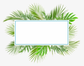 Grass, HD Png Download, Transparent PNG