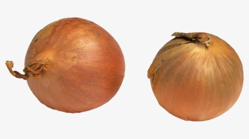 Onion Plant Png, Transparent Png, Transparent PNG