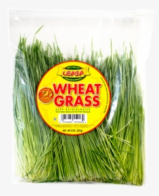 Wheatgrass Without Bg - Leek, HD Png Download, Transparent PNG