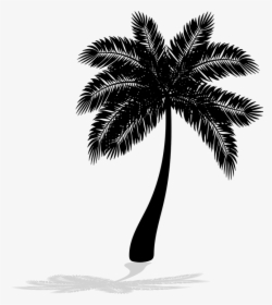 Palm Tree Png Transparent, Png Download, Transparent PNG