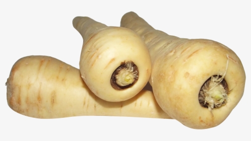 Parsnips Png, Transparent Png, Transparent PNG