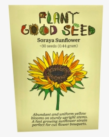 Soraya Sunflower - Black-eyed Susan, HD Png Download, Transparent PNG