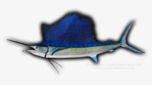 Swordfish, HD Png Download, Transparent PNG