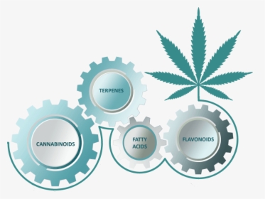 The Entourage Effect Is A Term That Explains How All - Marijuana Leaf, HD Png Download, Transparent PNG