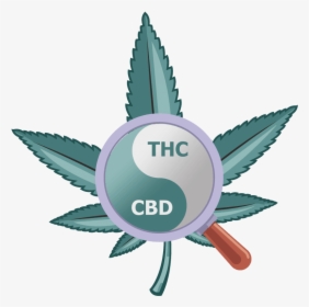 The Yin & Yang Of Cannabis - Label, HD Png Download, Transparent PNG