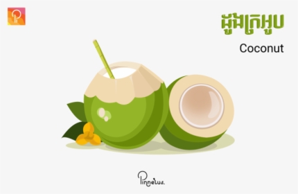 Coconut Coconut Vector - Coconut Vector Png, Transparent Png, Transparent PNG