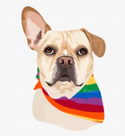 French Bulldog, HD Png Download, Transparent PNG