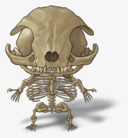 Smile, HD Png Download, Transparent PNG