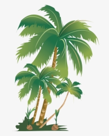 #tropical #summer #palm #tree #palmera #summerfun #sticker - Palm Trees, HD Png Download, Transparent PNG