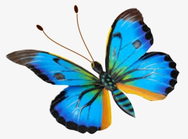 Hormiga Png, Transparent Png, Transparent PNG