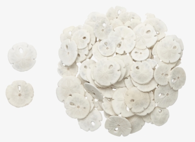 48 Tiny Round Sand Dollars - Artificial Flower, HD Png Download, Transparent PNG