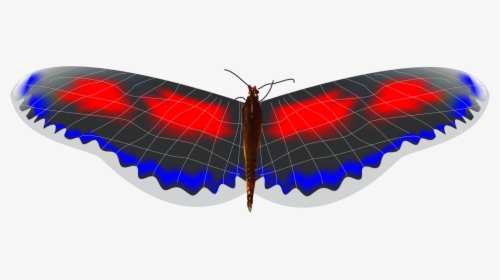 Hormiga Png, Transparent Png, Transparent PNG