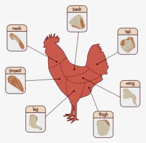 Cuts Of Chicken Price, HD Png Download, Transparent PNG