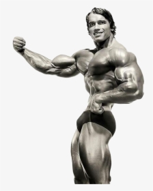 Arnold Schwarzenegger Bodybuilding Png Download Image - Arnold Schwarzenegger Bodybuilding Png, Transparent Png, Transparent PNG