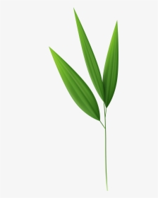 4570book - Bamboo Leaves Transparent Background, HD Png Download, Transparent PNG
