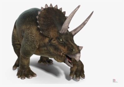 Triceratops Png, Transparent Png, Transparent PNG