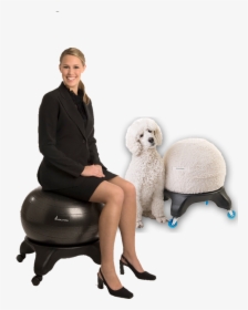 Best Chair For Back Pain - Sitting, HD Png Download, Transparent PNG