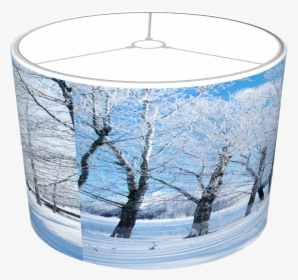 Winter Snows Scene - Birch, HD Png Download, Transparent PNG