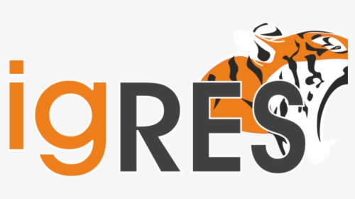 Graphic Design, HD Png Download, Transparent PNG