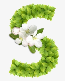 Spring In Letters, HD Png Download, Transparent PNG