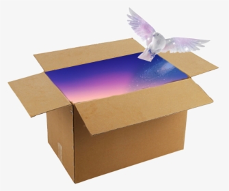 #glaxybox #galaxy #galaxybird #box #png #png Box #png - Hummingbird, Transparent Png, Transparent PNG