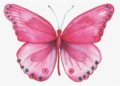 Watercolor Pink Butterfly Painting, HD Png Download, Transparent PNG