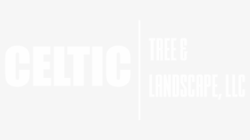 Celtic Tree Png, Transparent Png, Transparent PNG