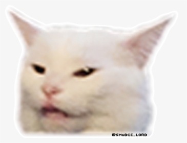 Smudge The Cat Meme Png, Transparent Png, Transparent PNG