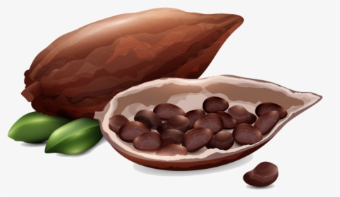 Direct Traded Raw Cacao, HD Png Download, Transparent PNG