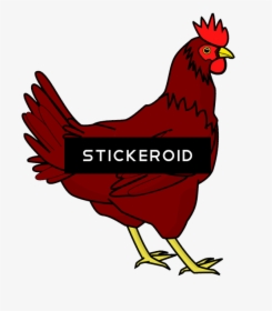 鸡png透明图像 鸡 Chicken Clip Art , Png Download - Chicken Clipart Transparent Background, Png Download, Transparent PNG