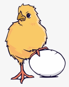 Poached Chicken, HD Png Download, Transparent PNG