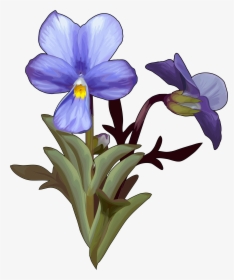 Violeta Del Teide, HD Png Download, Transparent PNG