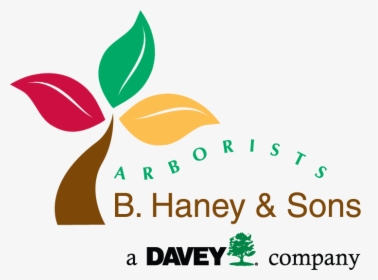 B Haney And Sons Arborists, HD Png Download, Transparent PNG
