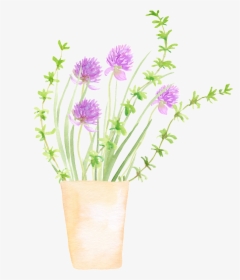 Spring Growing Plant Cartoon Transparent - Flowerpot, HD Png Download, Transparent PNG
