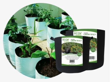 Ecogardener Premium Growbags - Grow Bag Online, HD Png Download, Transparent PNG