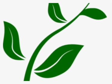 Pot Plant Clipart Plant Nursery - Growing Plant Png, Transparent Png, Transparent PNG