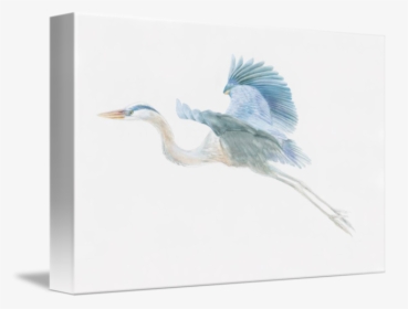 Great Egret, HD Png Download, Transparent PNG