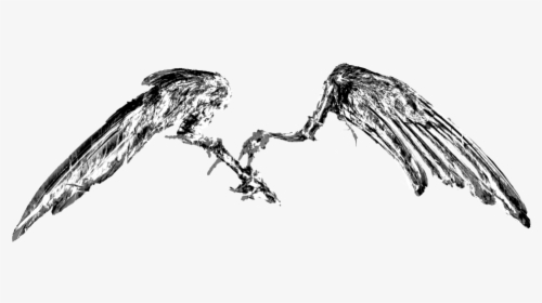Wings, HD Png Download, Transparent PNG