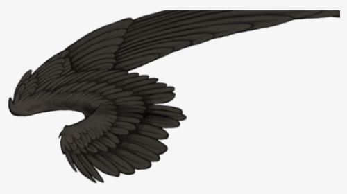 Lioden Wings Of Death, HD Png Download, Transparent PNG