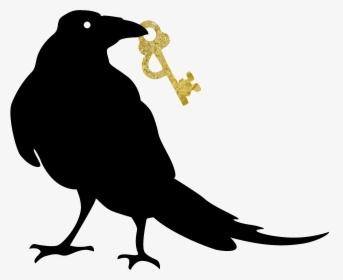 Parrot, HD Png Download, Transparent PNG