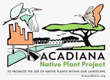 Greaux Native - Acadiana Native Plant Project, HD Png Download, Transparent PNG