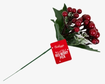 Christmas Red Berry Pick With Pdq - Floral Design, HD Png Download, Transparent PNG