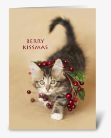 Berry Kissmas Christmas Kitten Greeting Card - Kitten, HD Png Download, Transparent PNG